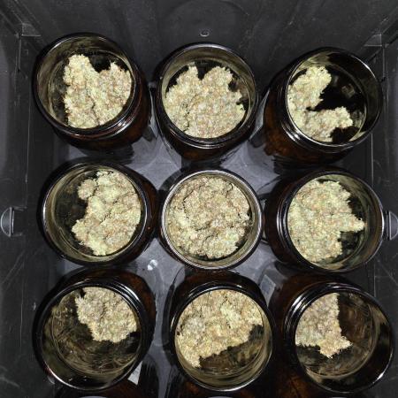 Gorilla Cookies/Orange Sherbet FF fun