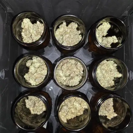 Gorilla Cookies/Orange Sherbet FF fun
