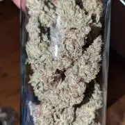 Orange Bud, Super Lemon Haze