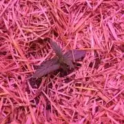 Automatic Gorilla Grape