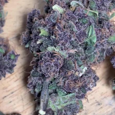 Lsd-25 auto #2