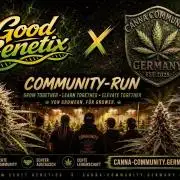 Community Grow🍀Super Boof, Good Genetix