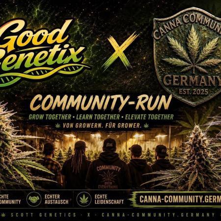 Community Grow🍀Super Boof, Good Genetix