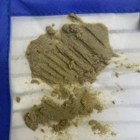 Auto Candy Divine Seeds