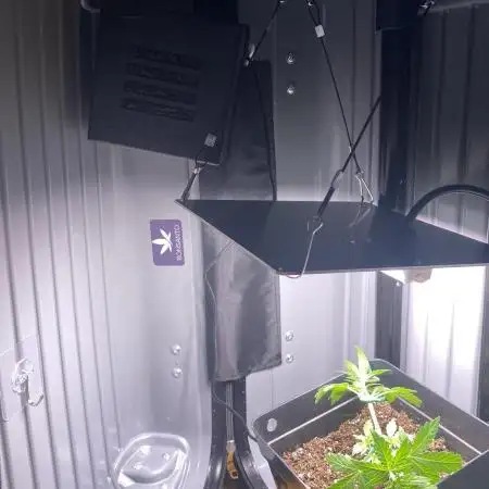 FastBuds🍓 Growsuitcase BONSANTO