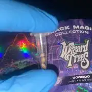 Wizard Trees Voodoo (Little Pheno Hunt)