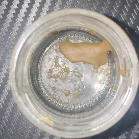 Auto Candy Divine Seeds