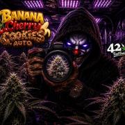Banana Cherry Cookies