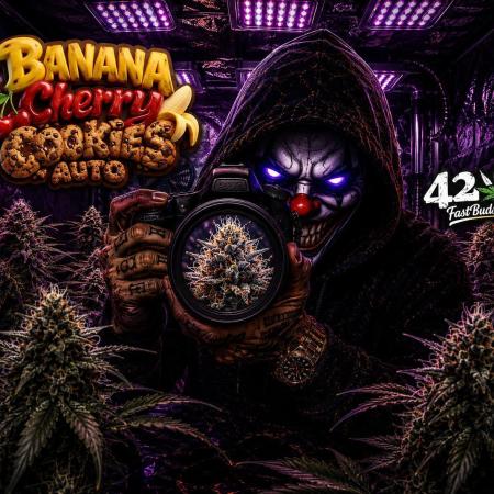 Banana Cherry Cookies