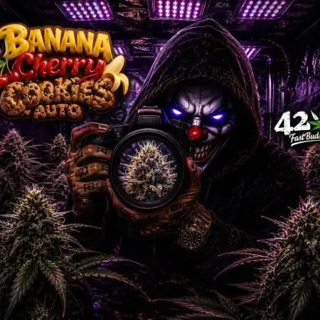 Banana Cherry Cookies