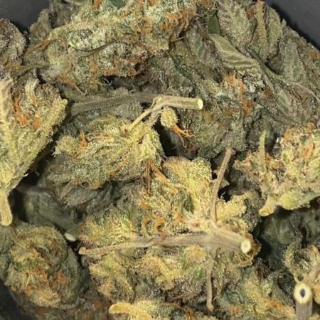 Strawberry🍓Gorilla FastBuds🇩🇪