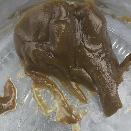Auto Candy Divine Seeds
