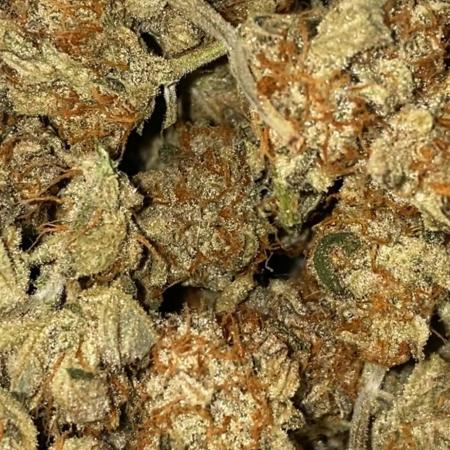 FastBuds💥Apple Strudel