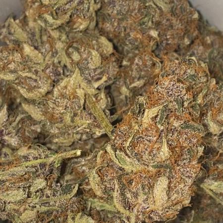 Diablos Delight's XL😈Sweet Seeds💚