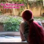 Zombie Kush Outdoor 2025