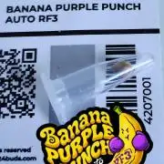 Banana Purple Punch Auto RF3 Fastbuds