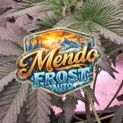 Mendo Frost Auto ❄️ 🏆