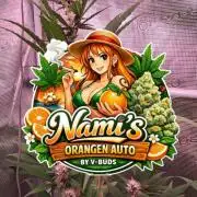 Auto | Namis Orangen von V-Buds mit EPN