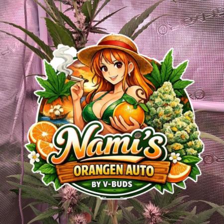 Auto | Namis Orangen von V-Buds mit EPN
