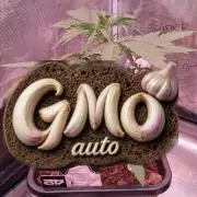 GMO Auto Fast Buds