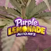 Purple Lemonade Auto RF3 😈🥤3️⃣