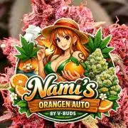 Auto | Namis Orangen von V-Buds mit EPN