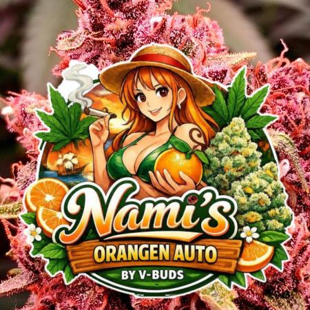 Auto | Namis Orangen von V-Buds mit EPN