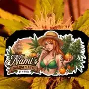 Auto | Namis Orangen von V-Buds mit EPN