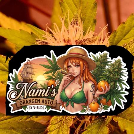 Auto | Namis Orangen von V-Buds mit EPN