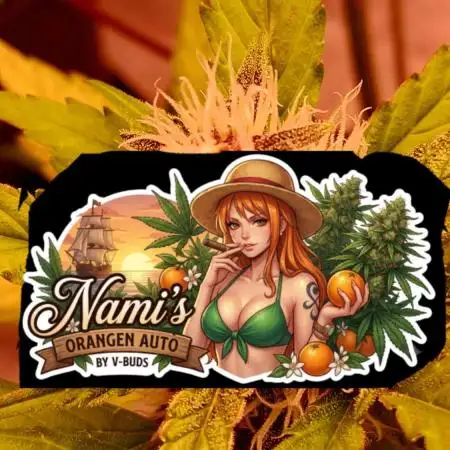 Auto | Namis Orangen von V-Buds mit EPN