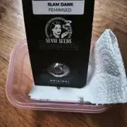 Slam Dank