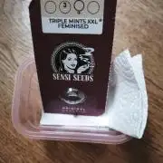 Triple Mints