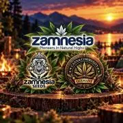 CCG x Zamnesia