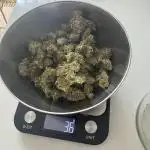 Original Glue - Nirvana