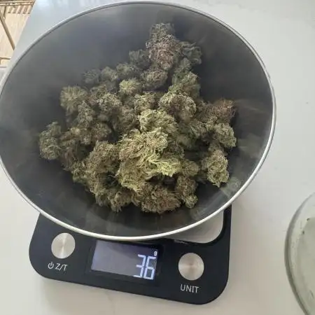 Original Glue - Nirvana