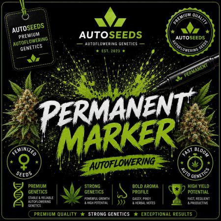 Permanent Marker Auto #2