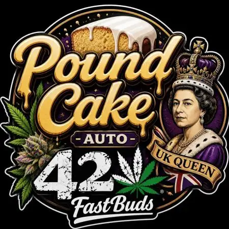 Pound Cake Auto