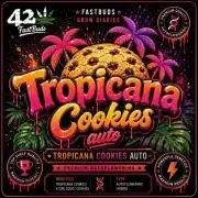 Tropicana Cookies Auto