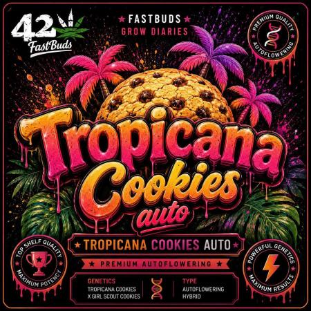 Tropicana Cookies Auto