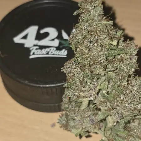 Banana Purple Punch RF3 Auto