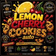 Lemon Cherry Cookies