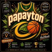 Papayton phenohunt