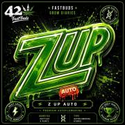 Z-Up Auto