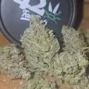 Gorilla Cookies Auto #2