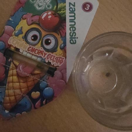 Lemon Cherry Gelato Auto