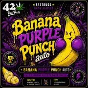 Banana Purple Punch Auto
