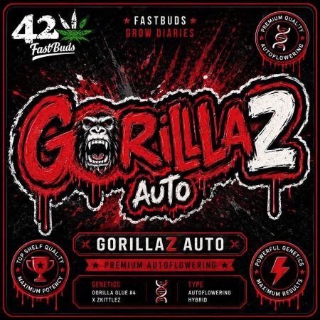 Gorilla Z auto