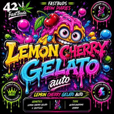 Lemon Cherry Gelato Auto