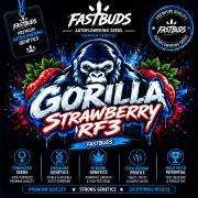 Strawberry Gorilla Auto RF3