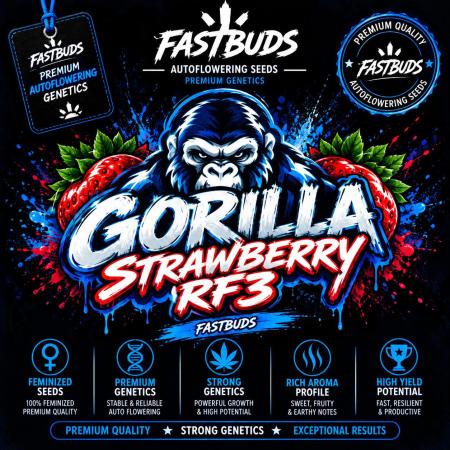 Strawberry Gorilla Auto RF3